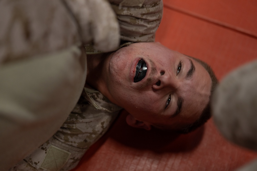 Swift Response 25 | U.S. Marines Sharpen Combat Readiness with Martial Arts Training in Norway