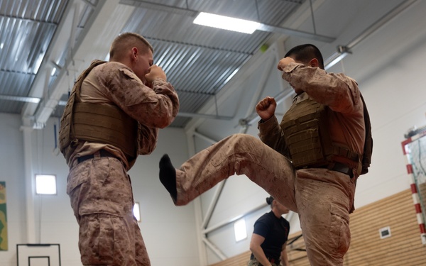Swift Response 25 | U.S. Marines Sharpen Combat Readiness with Martial Arts Training in Norway