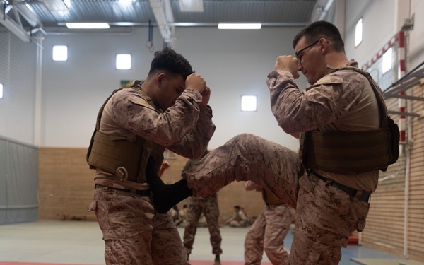 Swift Response 25 | U.S. Marines Sharpen Combat Readiness with Martial Arts Training in Norway