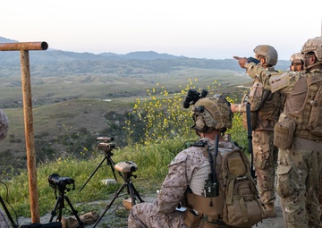 Forging Stronger Ties: 1st ANGLICO and UAE Presidential Guard Collaborate in Close-Air Support Training