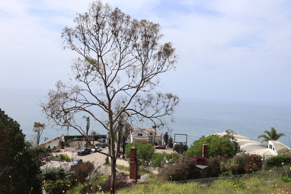 Aerial view of Pacific Coast Highway