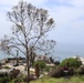 Aerial view of Pacific Coast Highway