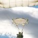 Swift Response 25 | U.S. Marines, 82nd Airborne Division Train in Norway