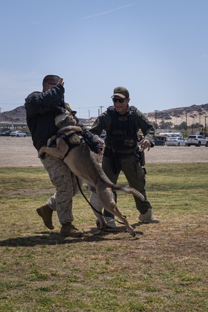 IPACC21: CAPEX Sling Load and Artillery B-Roll