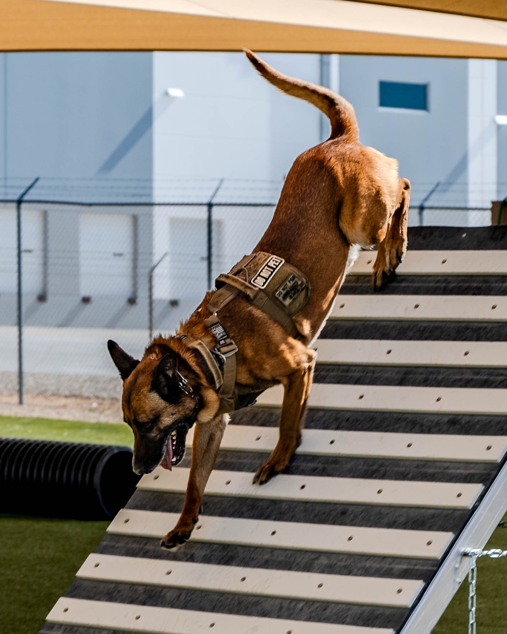 2025 Police Week K-9 Comp with neighboring counties at Luke AFB