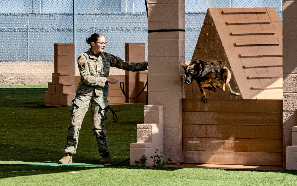 2025 Police Week K-9 Comp with neighboring counties at Luke AFB