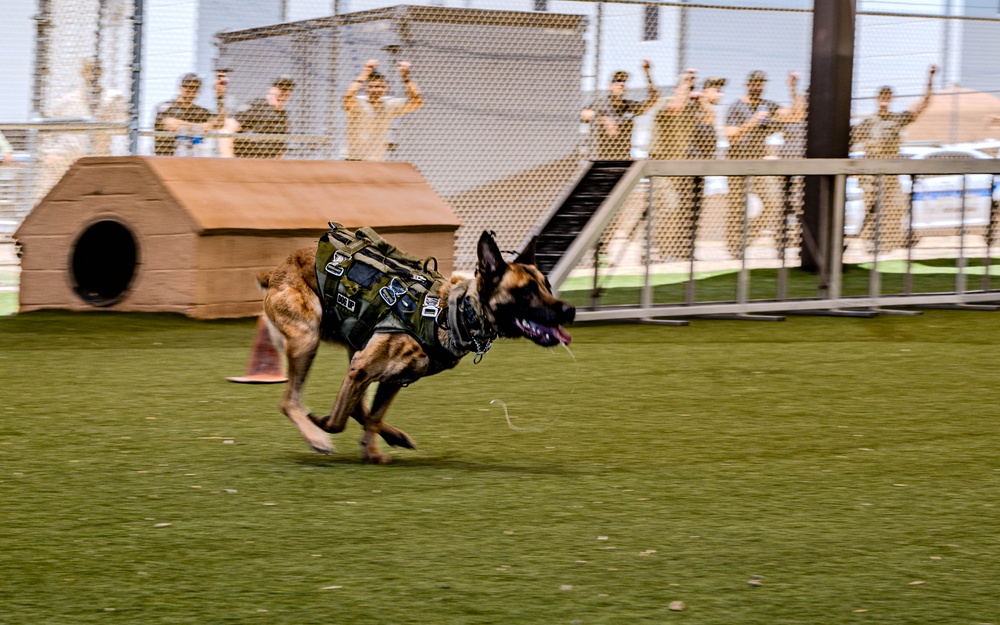 2025 Police Week K-9 Comp with neighboring counties at Luke AFB