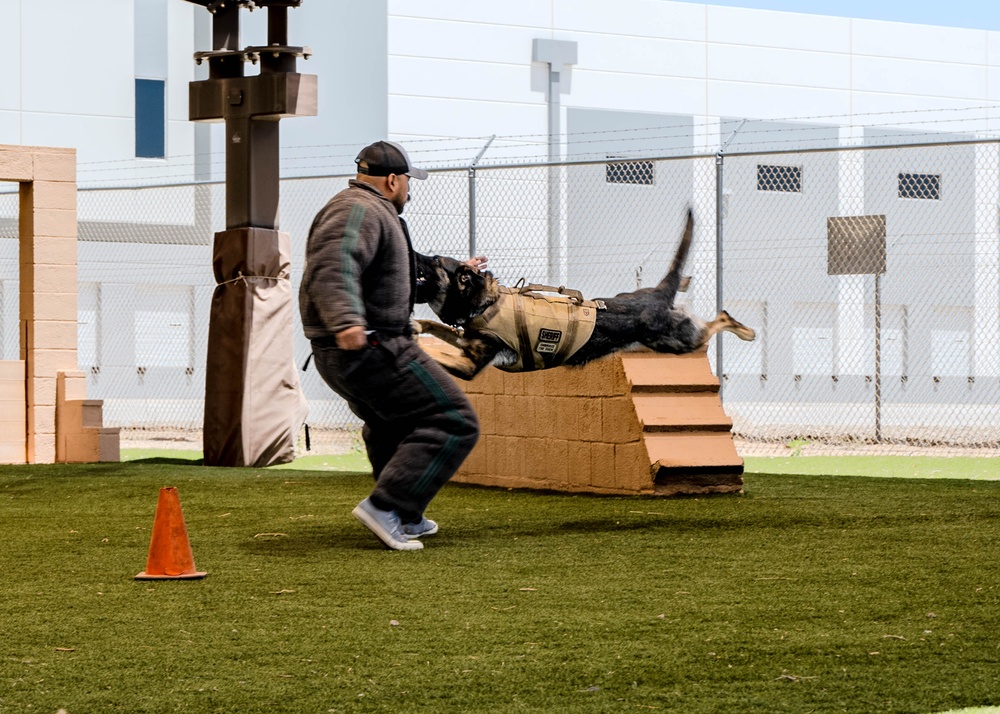 2025 Police Week K-9 Comp with neighboring counties at Luke AFB