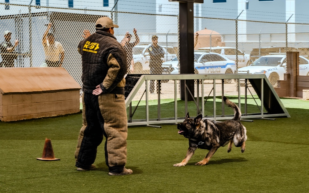 2025 Police Week K-9 Comp with neighboring counties at Luke AFB