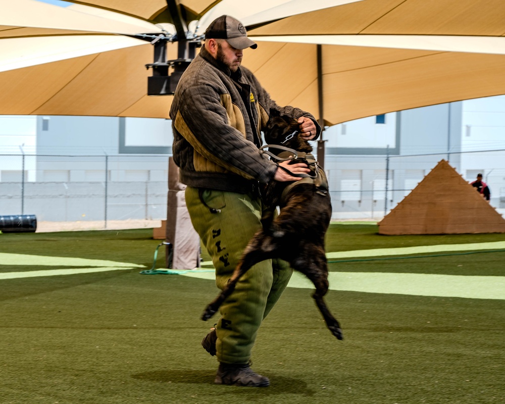 2025 Police Week K-9 Comp with neighboring counties at Luke AFB