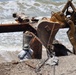 Debris clearing on Pacific Coast Highway