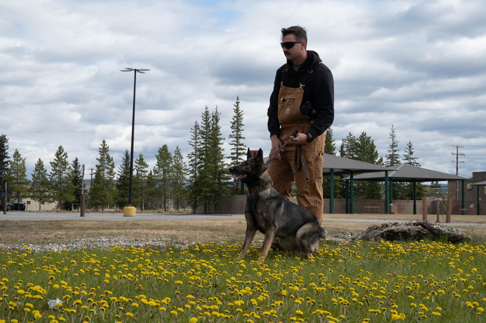 Eielson Police Week 2025: K9 Demo