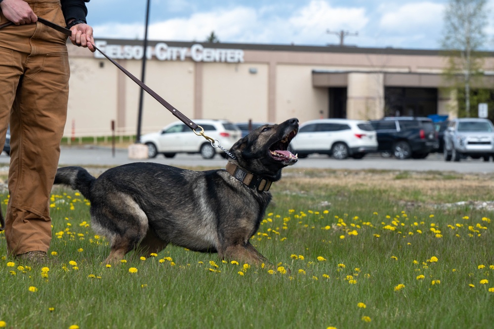 Eielson Police Week 2025: K9 Demo