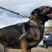 Eielson Police Week 2025: K9 Demo