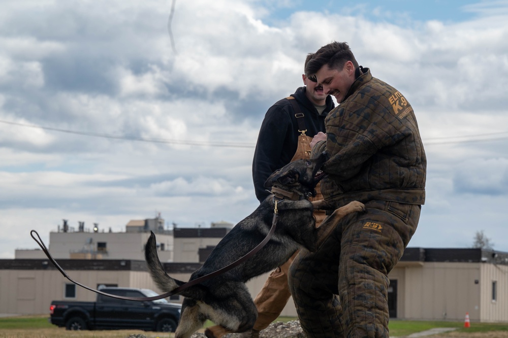 Eielson Police Week 2025: K9 Demo