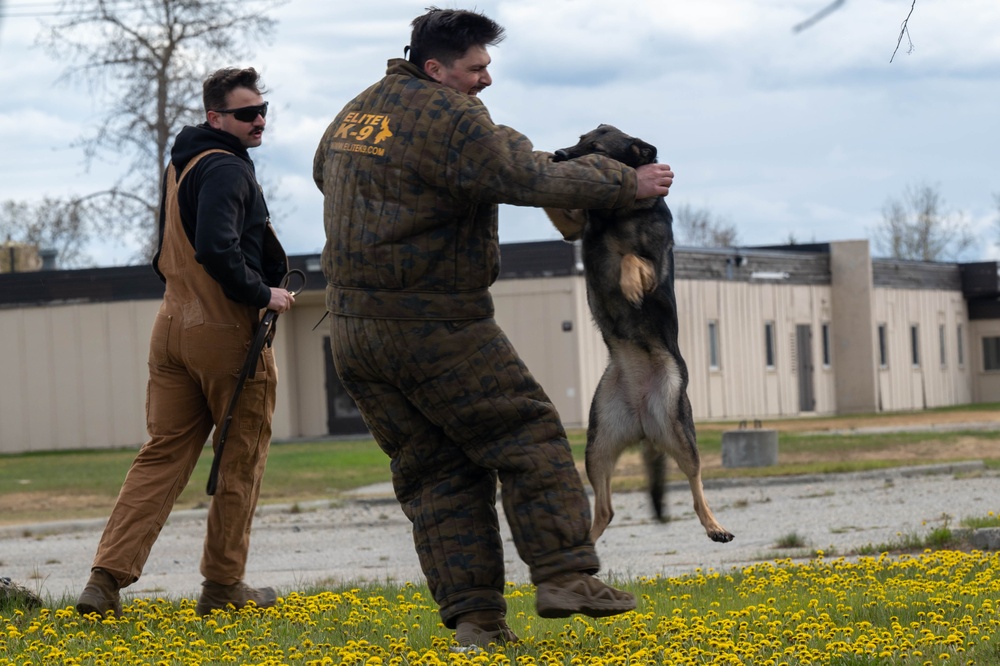 Eielson Police Week 2025: K9 Demo