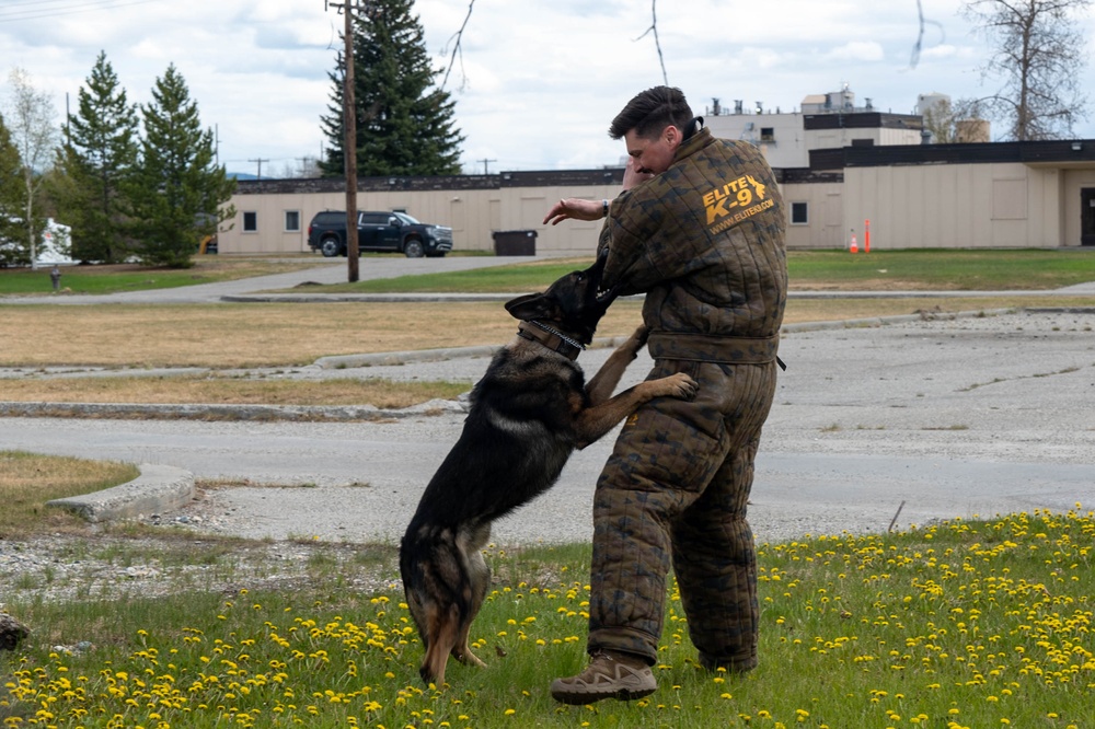 Eielson Police Week 2025: K9 Demo