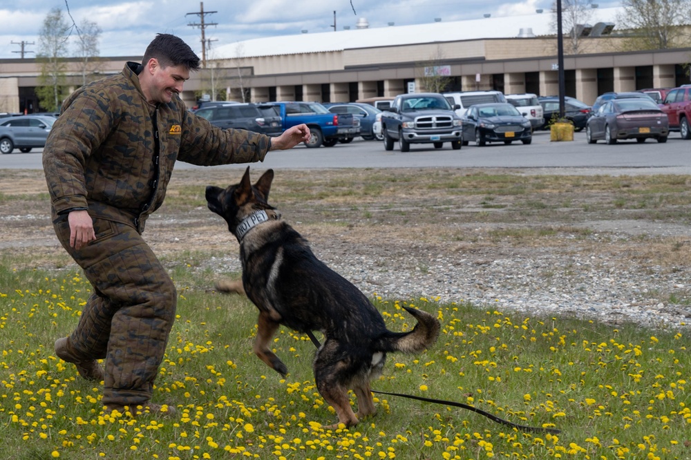 Eielson Police Week 2025: K9 Demo