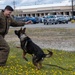 Eielson Police Week 2025: K9 Demo