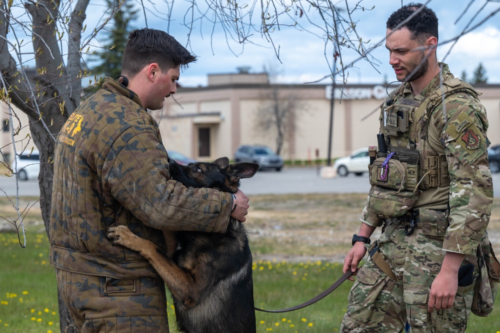 Eielson Police Week 2025: K9 Demo