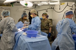 Ready to respond: U.S. forces and NATO partners sharpen medical skills to reinforce joint capabilities [Image 21 of 24]