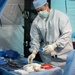 Ready to respond: U.S. forces and NATO partners sharpen medical skills to reinforce joint capabilities