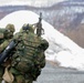 Panther Brigade Soldiers seize the objective from NATO Allies and partners during Swift Response