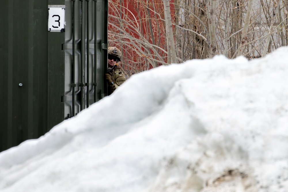Panther Brigade Soldiers seize the objective from NATO Allies and partners during Swift Response