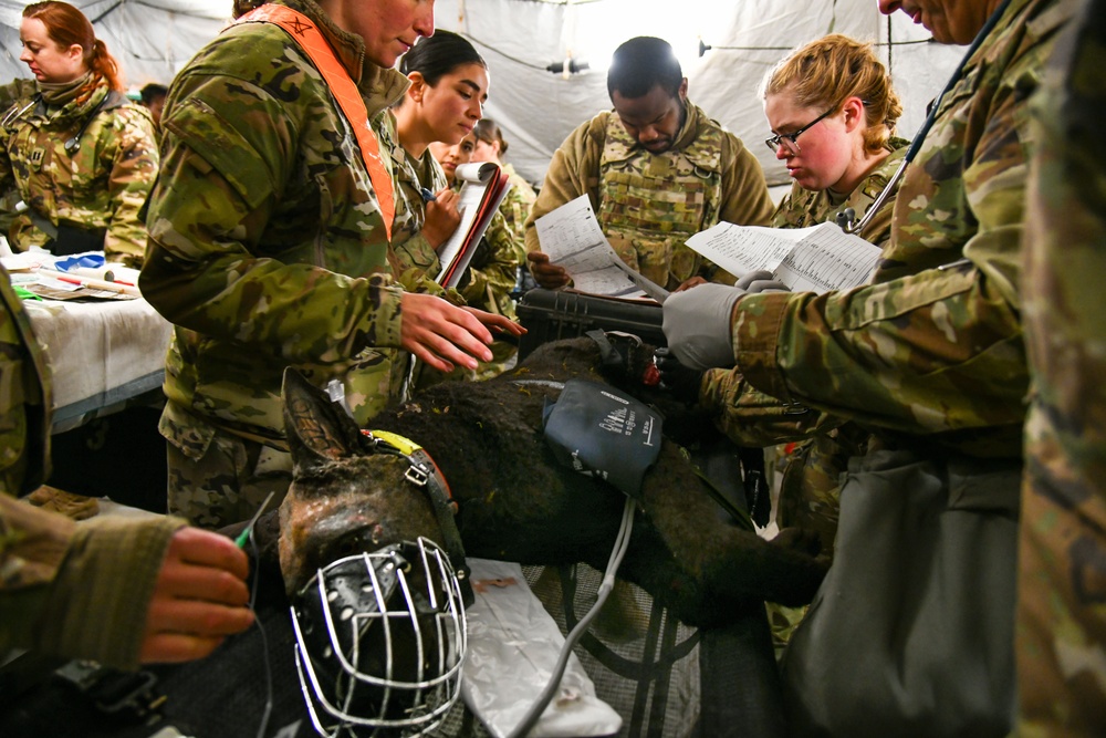 Multinational hospital exercise at Vepirai Rocket base during Swift Response 2025
