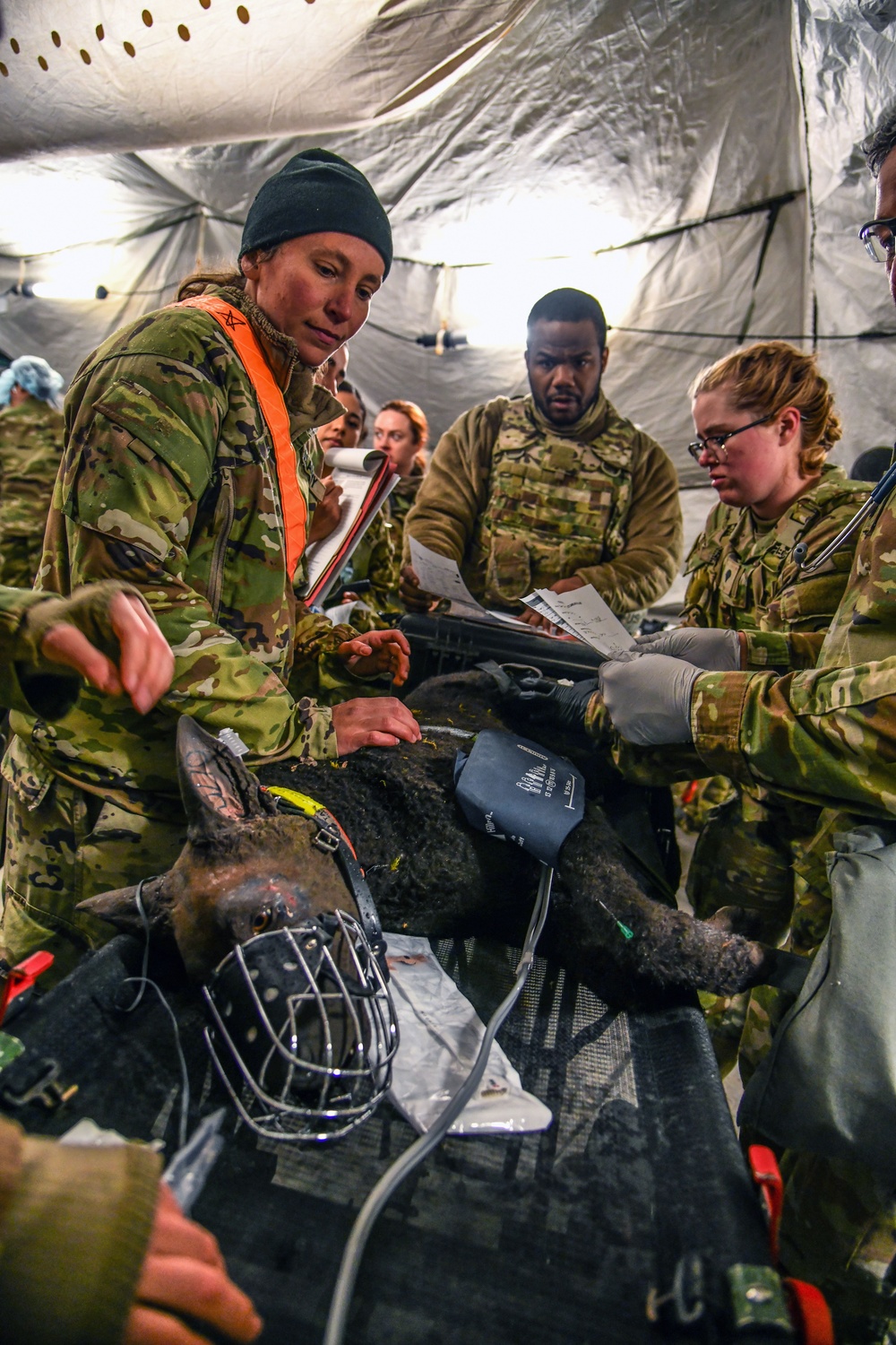 Multinational hospital exercise at Vepirai Rocket base during Swift Response 2025