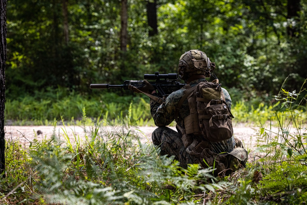 22nd MEU LIMA CO Conducts Day Raid