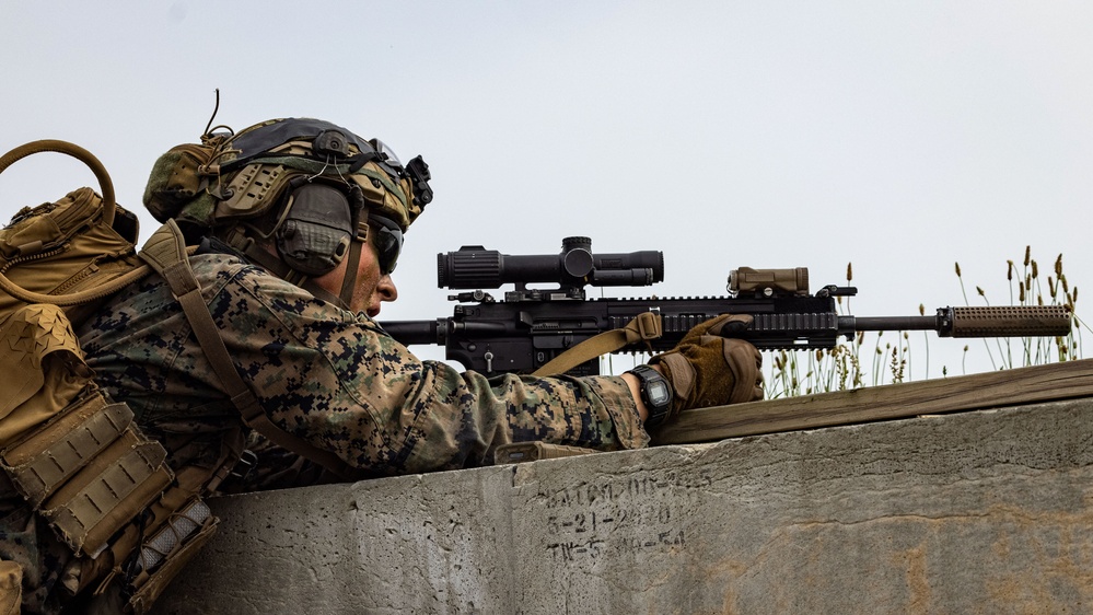 22nd MEU LIMA CO Conducts Day Raid
