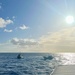 U.S. Coast Guard transfers tow of missing vessel Lucky Harvest
