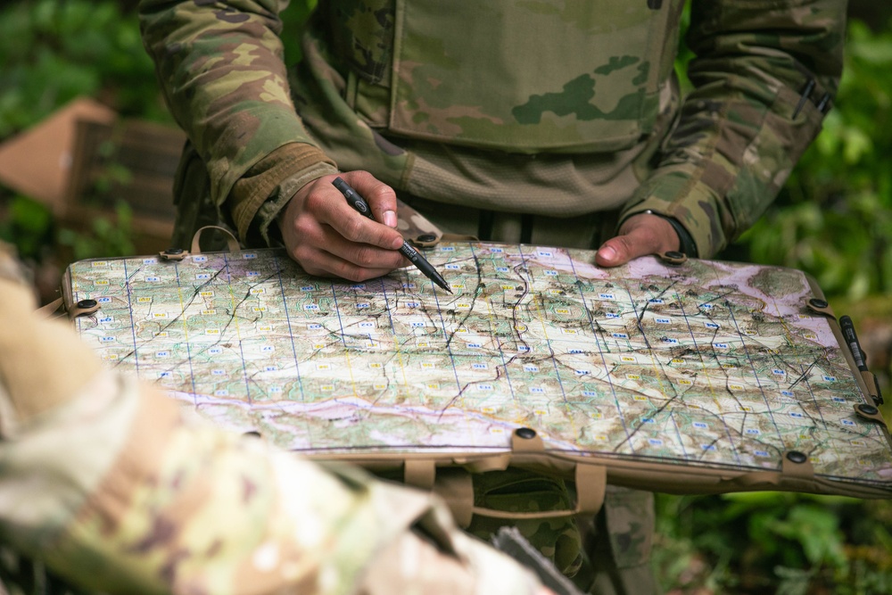 5-7 Cavalry plan, execute movements during Combined Resolve 25-2