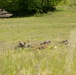 U.S. Army return simulated fire during Exercise Combined Resolve 25-2