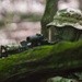 148th Air Support Operations Squadron TACP Airmen Conduct Field Training Exercise