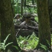 148th Air Support Operations Squadron TACP Airmen Conduct Field Training Exercise