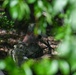 148th Air Support Operations Squadron TACP Airmen Conduct Field Reconnaissance Exercise