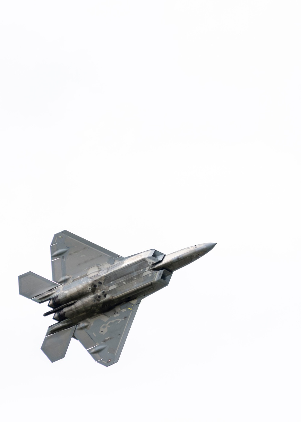 Raptor soars at Golden Isles Air Show