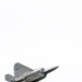 Raptor soars at Golden Isles Air Show