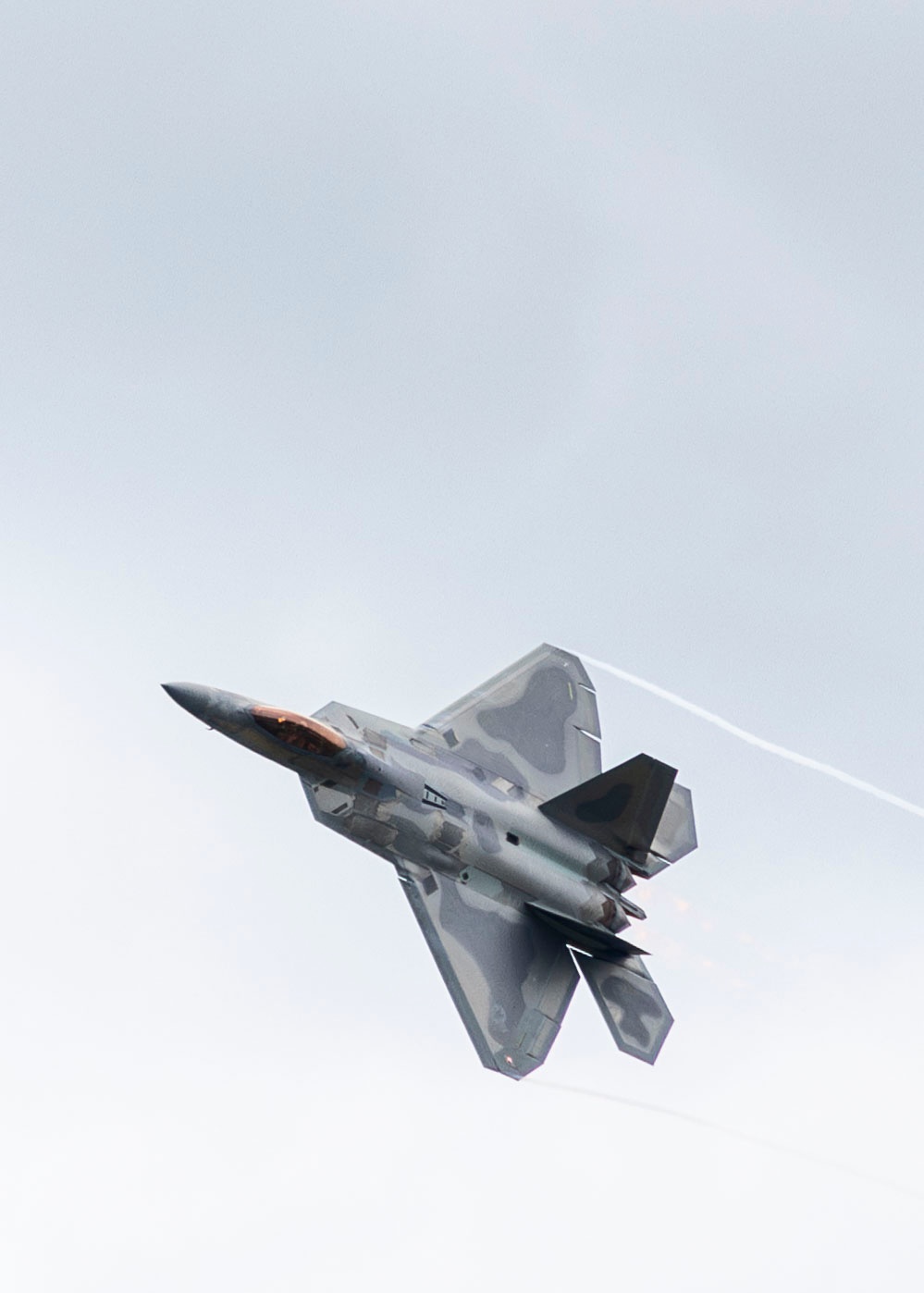 Raptor soars at Golden Isles Air Show