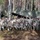 DHA’s Force Health Protection team visits Role 2 during DEFENDER 2025 in Lithuania DHA’s Force Health Protection team visits Role 2 during DEFENDER 2025 in Lithuania