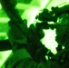 10th SFG(A) GSB FTX 2025