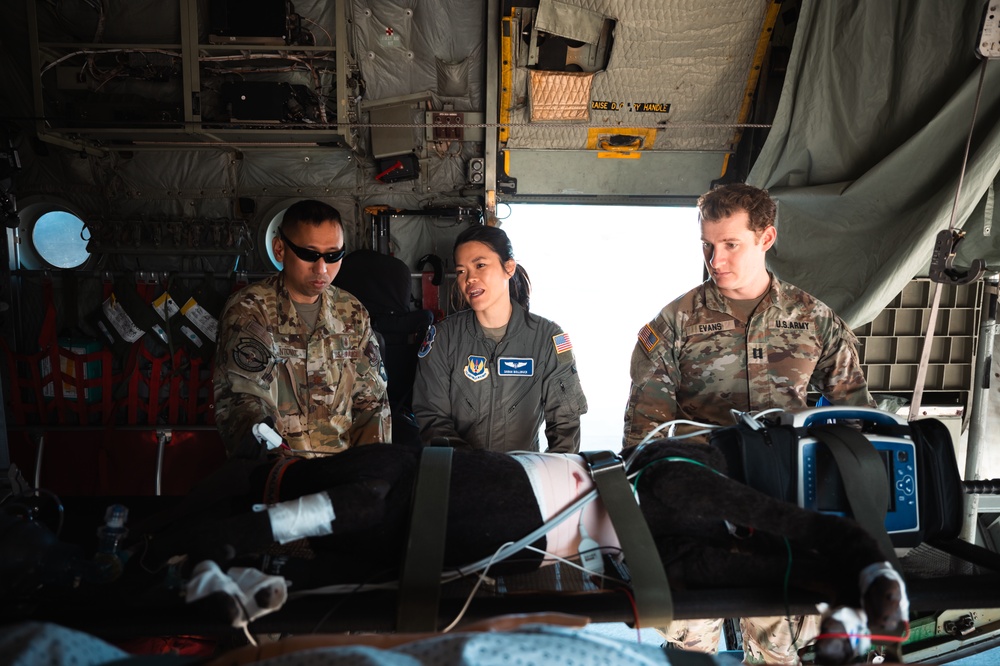 86th AES, NATO Allies execute aeromedical evacuation exercise