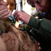 86th AES, NATO Allies execute aeromedical evacuation exercise