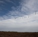 173rd Airborne Bridge drops into joint training