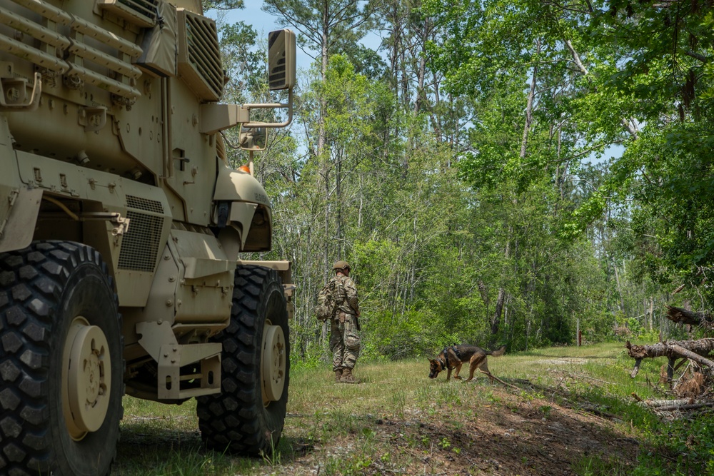 824th BDS conducts austere airbase defense at exercise Arduous Ghost