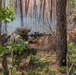 824th BDS conducts austere airbase defense at exercise Arduous Ghost
