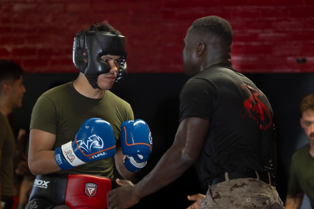 Martial Arts Instructor Course: Striking Drills