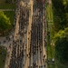 AAW25 Division Run